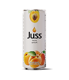 JUSS  KAYISI KUTU 250 ML  24 LÜ