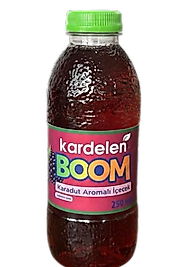 KARDELEN KARADUTLU İÇECEK 12 Lİ 250 ML