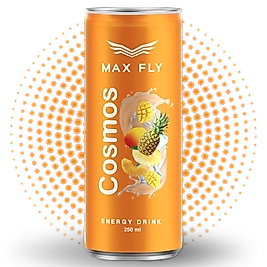 Max Fly Enerji İçeceği Cosmos 250 mL 24 lü