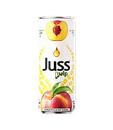 JUSS  ŞEFTALİ PARÇACIKLI  KUTU 250 ML  24 LÜ