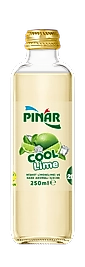 Pınar Cam Şişe Cool Lime 250 ml  24 lü