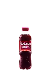 Doğanay 300ml pet şişe acılı şalgam 24 lü