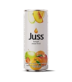 JUSS  KARIŞIK KUTU 250 ML  24 LÜ