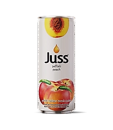 JUSS  ŞEFTALİ KUTU 250 ML  24 LÜ