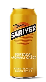 SARIYER PORTAKAL KUTU  330 ML 24 LÜ