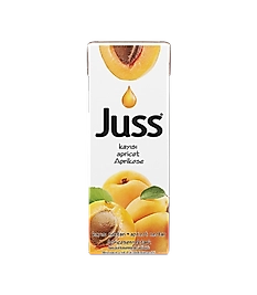 JUSS  KAYISI TETRA 200 ML  27 Lİ
